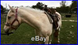 14 inch Western saddle, Full Quarter Horse Bars, Used But In Good Condition