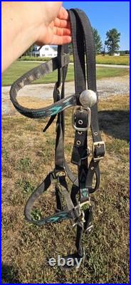 15 Abetta Trail Saddle