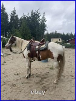 15 Longhorn By Billy Cook Western Wade Saddle Lightweight With A Wide Tree