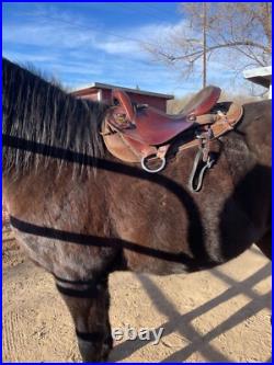 16 Used brown Inch National Bridle Tennessean GaitedTrail Saddle 16 Used brown Inch National Bridle Tennessean GaitedTrail Saddle
