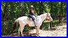 Adult_Beginner_Western_Riding_Lessons_Groundwork_And_Riding_Exercises_01_is