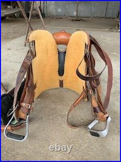 BEAUTIFUL Martin Sherry Cervi Crown C Barrel Saddle 15 Seat 7 Gullet