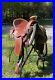 Beautiful_Custom_15_5_western_saddle_with_matching_headstall_By_Kerry_Jack_01_tq