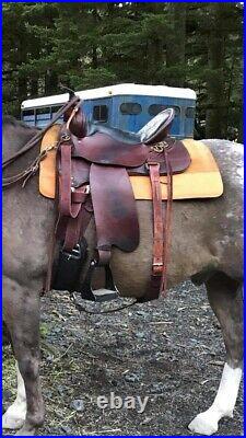 Big Springs High Horse Trail Saddle FQHB by Circle Y Excellent Condition