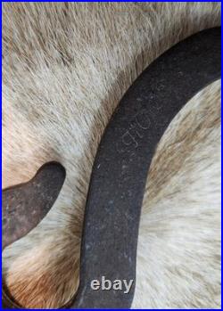 Blue Ribbon Custom 15 Sterling Silver Show Saddle Victor Headstall Romel Reins