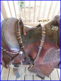 Circle y equitation saddle