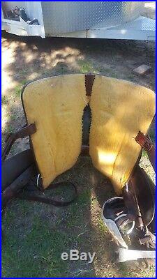 Custom Martin saddle, 15.5, QH bars, ostrich seat