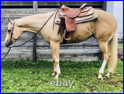 Dale Chavez show saddle