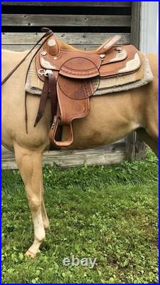 Dale Chavez show saddle