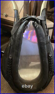 Gilroy Cal. @ 1900 Oxen Harness Leather Orig! &MirrorInsert Dim =OAl=32T x 20W