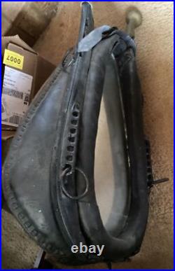 Gilroy Cal. @ 1900 Oxen Harness Leather Orig! &MirrorInsert Dim =OAl=32T x 20W