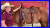 Good_Horse_How_To_Properly_Fit_A_Western_Saddle_01_ems