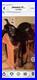Harmony_Western_Dressage_Saddle_01_mrk