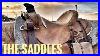 Hauling_Colts_To_Town_Mighty_Eagle_The_Saddles_We_Ride_Aspensaddlery_01_oaj