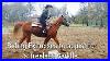 Hilason_Treeless_Western_Saddle_Trial_Riding_Exercises_To_Establish_A_Better_Seat_01_vay