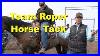 Horse_Tack_For_A_Team_Roper_Brett_Mccarroll_Team_Roping_Tips_01_rhyc