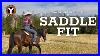 How_To_Find_The_Correct_Saddle_Fit_For_Your_Horse_01_hiu