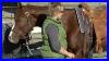 How_To_Fit_Your_Horse_With_A_Western_Saddle_How_To_Adjust_The_Stirrups_On_A_Western_Saddle_01_yt
