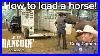 How_To_Load_A_Horse_In_The_Trailer_With_Craig_Cameron_Just_Ranchin_2_01_pdq