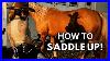 How_To_Saddle_Up_A_Horse_Important_Tips_Step_By_Step_01_igu