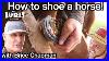 How_To_Shoe_A_Horse_With_Brice_Chapman_Just_Ranchin_9_01_vru