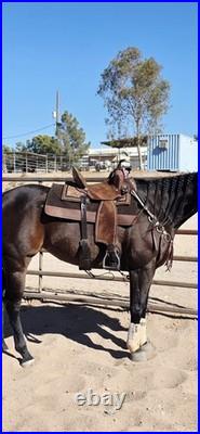 Josh Andrews 14 Inch Barrel Saddle