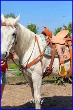 Leather Hand carved Roper Ranch Western Hard seat Saddle Size 15