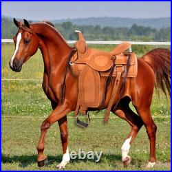 New! TOOLED TRAIL WESTERN SADDLE PLEASURE LEATHER HORSE TACK SET 15 16 17 18