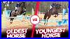 Oldest_Horse_Vs_Youngest_Showjump_Competition_Erol_And_Zeb_Battle_It_Out_Vlog_127_01_xa