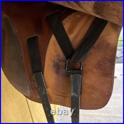 Parelli Cruiser hybrid saddle with Custom pad