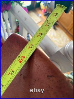 Pessoa jumping saddle 17 in