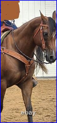 Ranch Saddle Split Rail Silver Royal MATCHING BREAST COLLAR AND HEADSTALL
