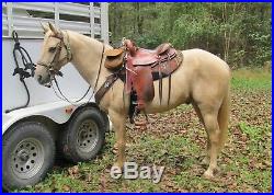 Sharon Saare Endurance Saddle, no horn, CC tree, 15 inch seat, western rigging