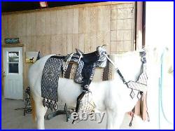 Ted Flowers silver Parade Saddle breast collar tapaderos bridle reins corona hip