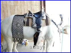 Ted Flowers silver Parade Saddle breast collar tapaderos bridle reins corona hip