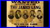 The_Life_And_Exploits_Of_The_James_And_Younger_Gang_Documentary_01_vwly