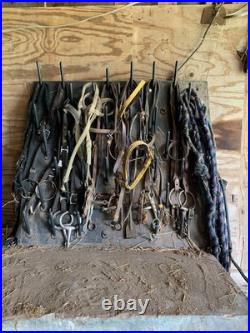 Used horse saddles for sale