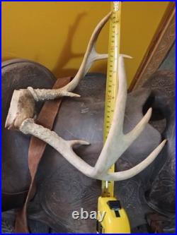 Vintage Tooled Leather Western Saddle Floral Design/ Hat/ Boots/Horns