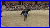 Watch_Monty_Roberts_Put_First_Saddle_Bridle_And_Rider_Up_In_30_Minutes_On_Corona_01_jx