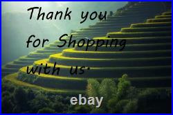 Western Cowgirl Roping Saddle 15 16 17 18 Roper Rancher Trail Leather Tack Set