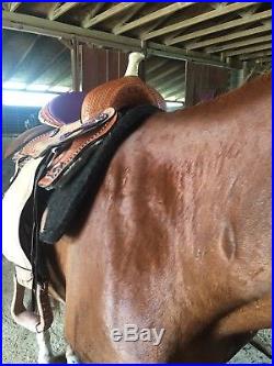 Western Saddle, Barrel Racing, Trail Riding, Showing, Pleasure ridding, 15 inch