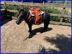 Youth Child Saddle Leather Western Horse Tack Handle with Tack set Free Shipping